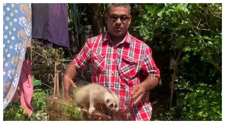 বিপন্ন প্রজাতির ‘লজ্জাবতী বানর’ উদ্ধার